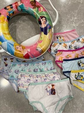Toddler Potty Training Bundle 4T Disney Princess Seat + 9 Pairs Underwear NWOT